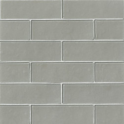 Koala-ty Time In Queensland - Tile