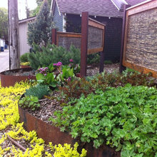 Flower Bed Arrangement
