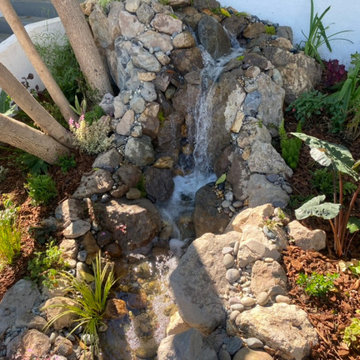 Encino Pond, Pondless Waterfall & Landscape Project