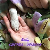 Kacey Moore's photo