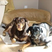 Michele Steckbeck's photo