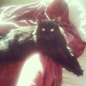 Judy Urbanski-Roche's photo