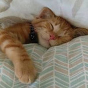 April Castillo's photo