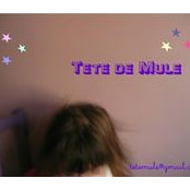 Photo de Tête De Mule