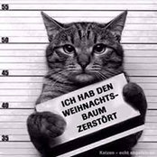 Dirk Grünberg's photo