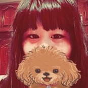 XUTONG WANGs foto
