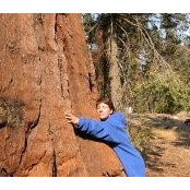 treehugger01s foto