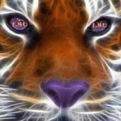 Michelle Aldridge's photo