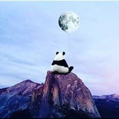Alaa Eldefrawy's photo