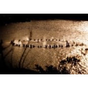 Henry Joyce's photo