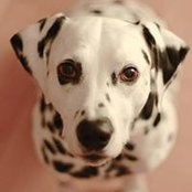 Vera Engelbertz's photo