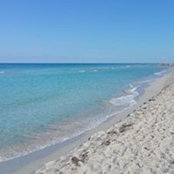 Janis Makofka's photo