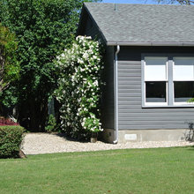 Landscape Ideas