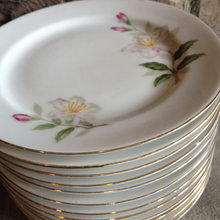 Azalea-Themed Things that can be Subtly Incorporated