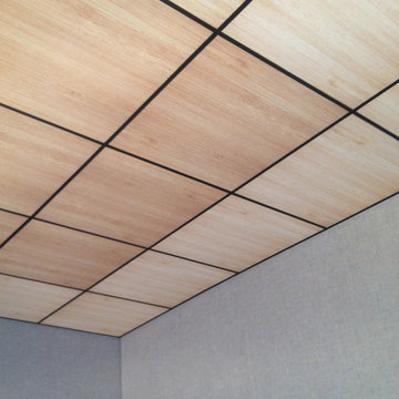 ConceptZ series Acoustical Ceiling Tiles
