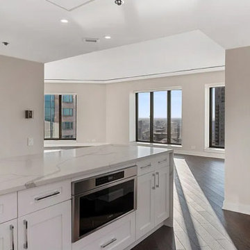High Rise Luxury Home Remodel