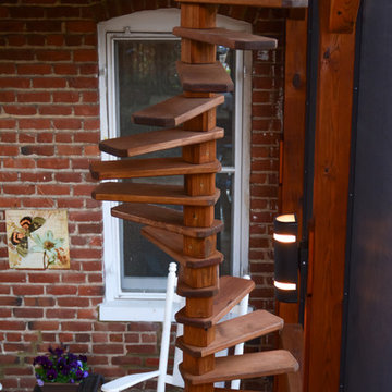 The Cat House