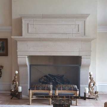Modern European Transitional - Barrington Hills IL