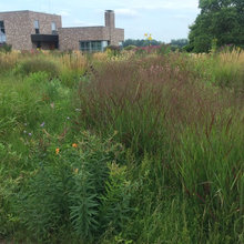 Garden plant clustering