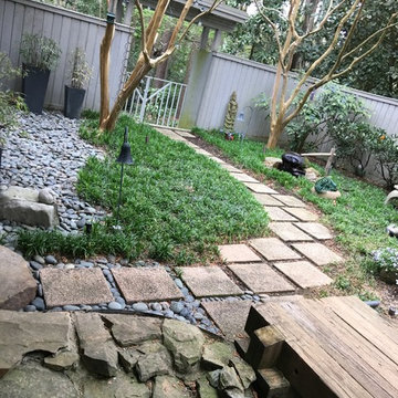Shaded Asian Garden