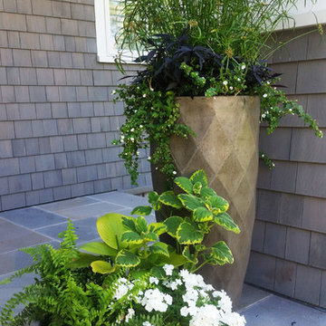 Planters & WIndow Boxes