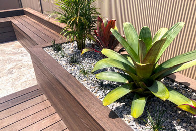 Photo of a mid-sized modern backyard full sun xeriscape in Sydney with a fire feature and decking.