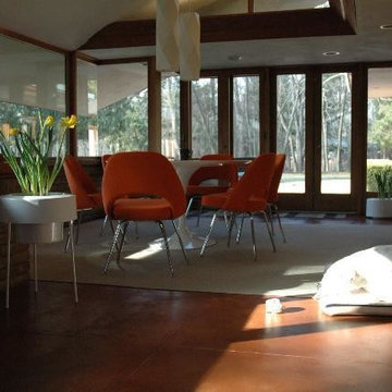 Area Rug Collection