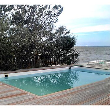 Coastal Seashore Garden| Minimal Plant Diversity