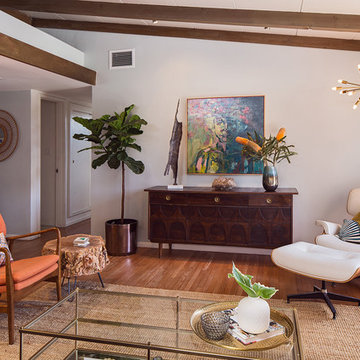 MID-CENTURY MODERN LIVING ROOM