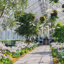 Greenhouse Ideas