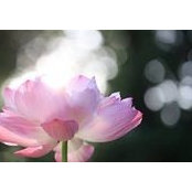 Foto von Felicity Tiong