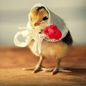Randi Devine's photo