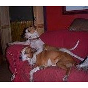 Foto von Nancy Stokes