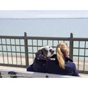 Amy Schwartzbach Kang's photo