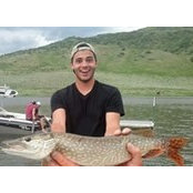 Kyle Sardi's photo