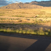 Scott Dalton's photo