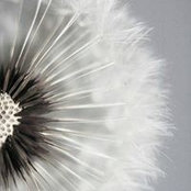 Maria Ru's photo
