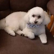 Susan Barlage's photo
