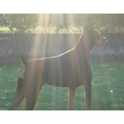 Jennifer Clary's photo
