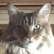 Anne Westgate's photo