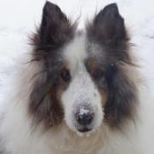 Denise Cormier's photo