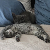 Sharyn's photo