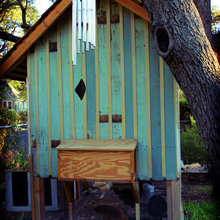 chicken coop
