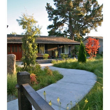 Greening the suburbs