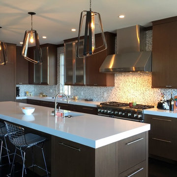 Sands Point Water Front Contemporary Kitchen