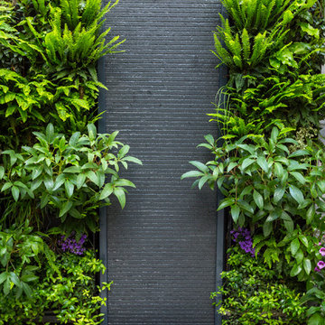 Small outdoor room with a green wall in Kensington