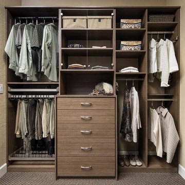 Tenino Walnut Reach-In Closet Display - Campbell Showroom