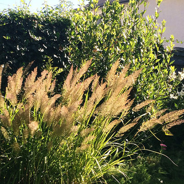 "Calmness and Light in the Secret Garden"