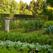 Garden ideas