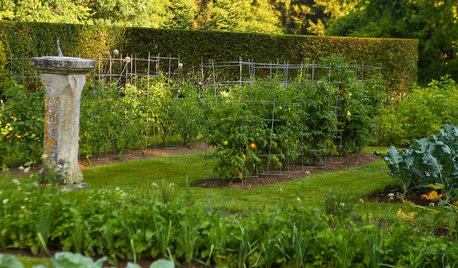 Jardinage : 10 erreurs à éviter en octobre